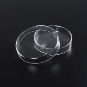 PLACA DE PETRI VIDRO BOROSILICATO