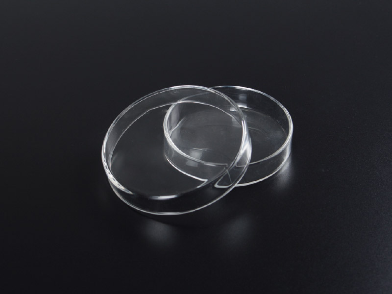 PLACA DE PETRI VIDRO BOROSILICATO